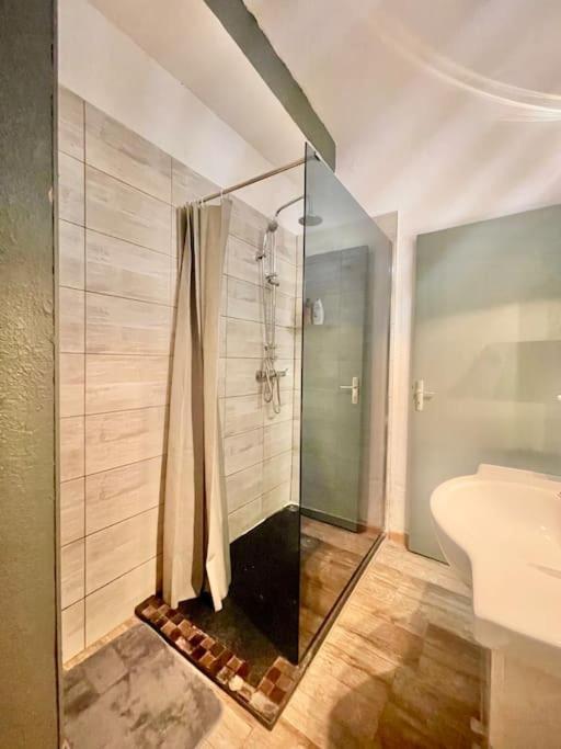 Chez-Yu Apartment Каркасон Екстериор снимка